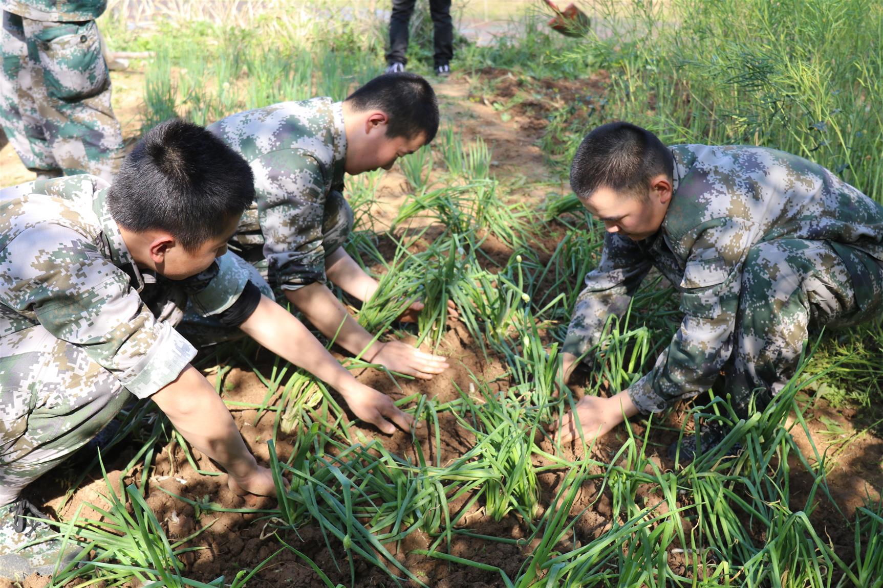 晋城问题青少年心理学校 如何帮助孩子顺利度过叛逆期 晋城思图励志少年军校.jpg