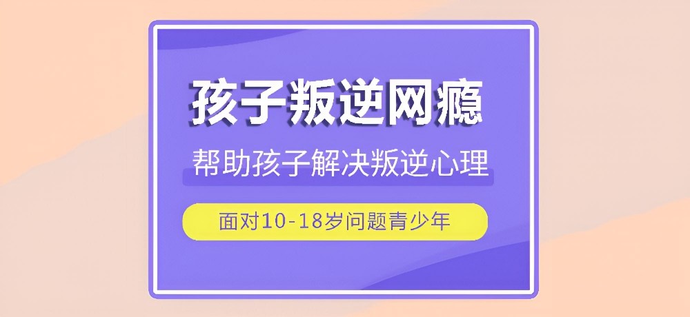 林芝孩子戒网瘾的学校