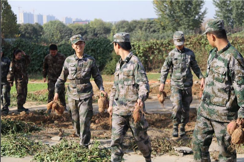 乐山管叛逆学校