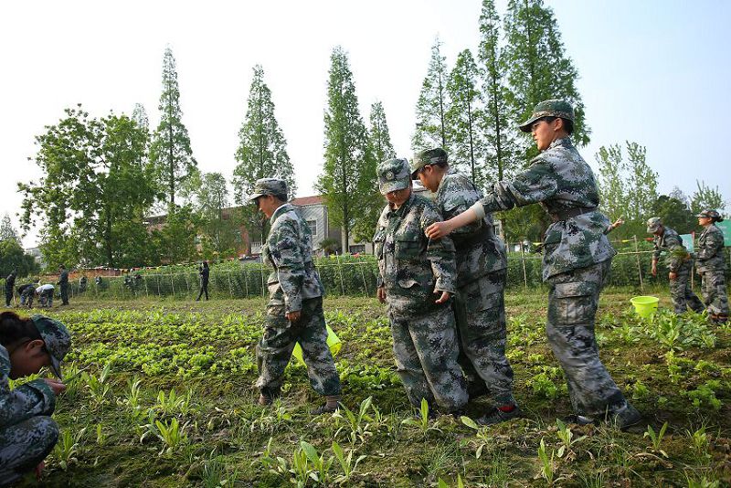 泰安正规青少年叛逆辅导学校机构名录