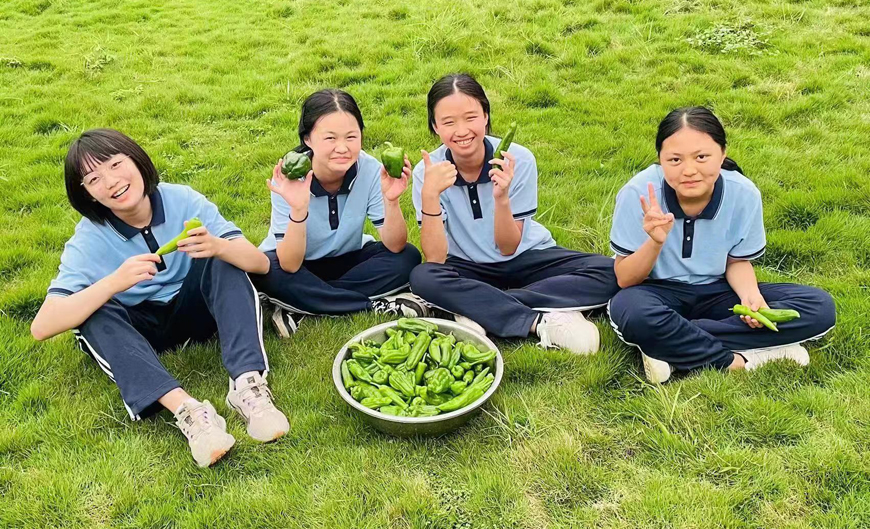 葫芦岛TOP10高二孩子叛逆矫正学校