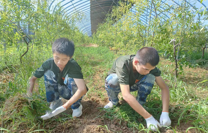 邢台领先的封闭式学校管理叛逆孩子机构推荐